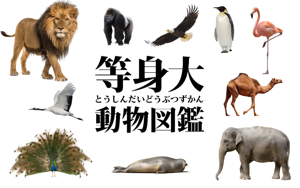 IMG_4390_1024x1024.PNG?v=
