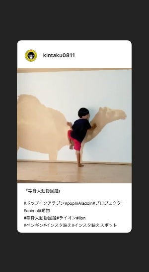 ユーザー投稿